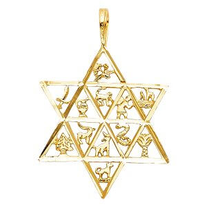 14KY 12 Animal Star Pendant